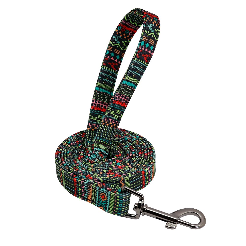 Patagonia Collar and Leash