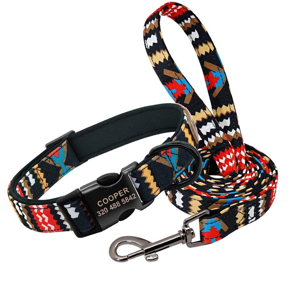 Patagonia Collar and Leash