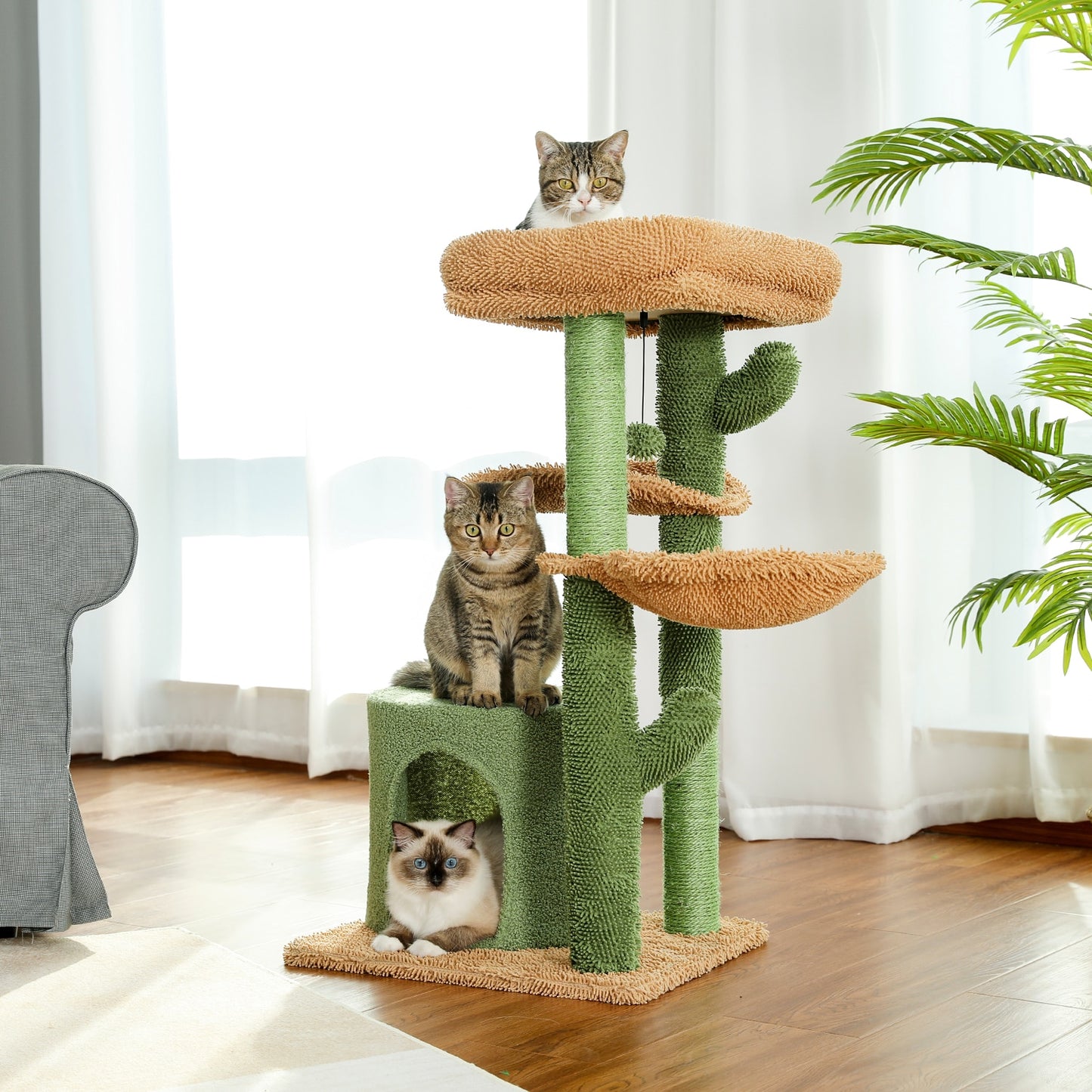 Cactus Cat Furniture Collection