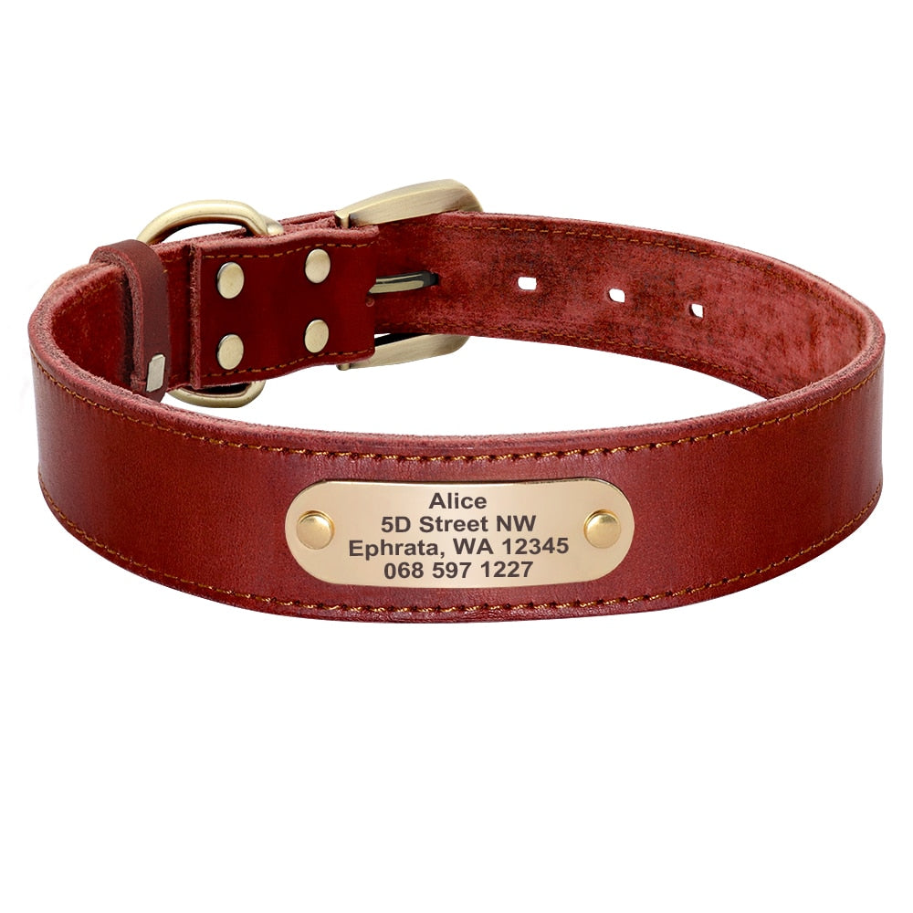Terra Custom Leather Collar and Leash