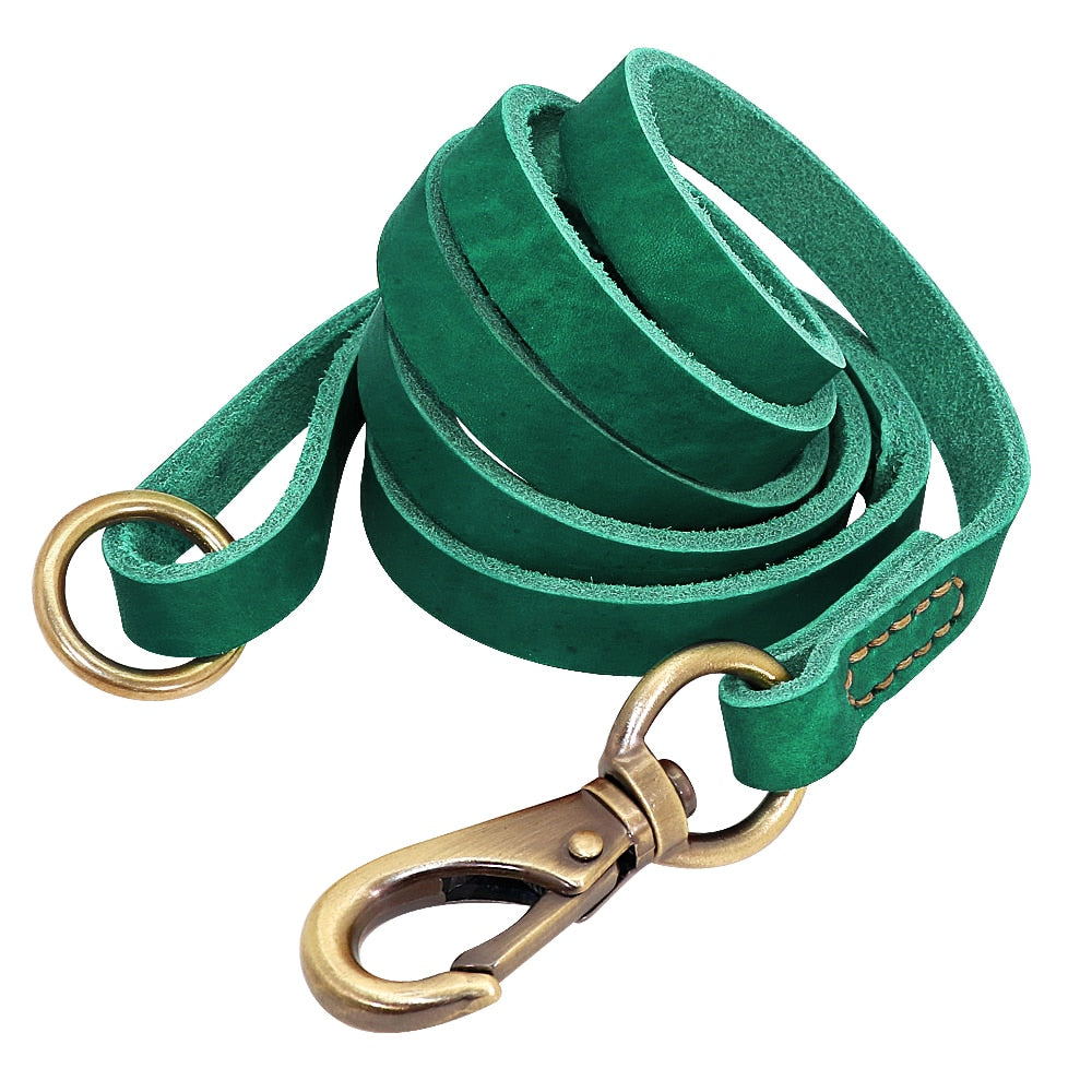 Terra Custom Leather Collar and Leash