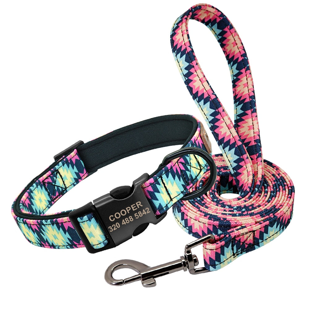 Patagonia Collar and Leash