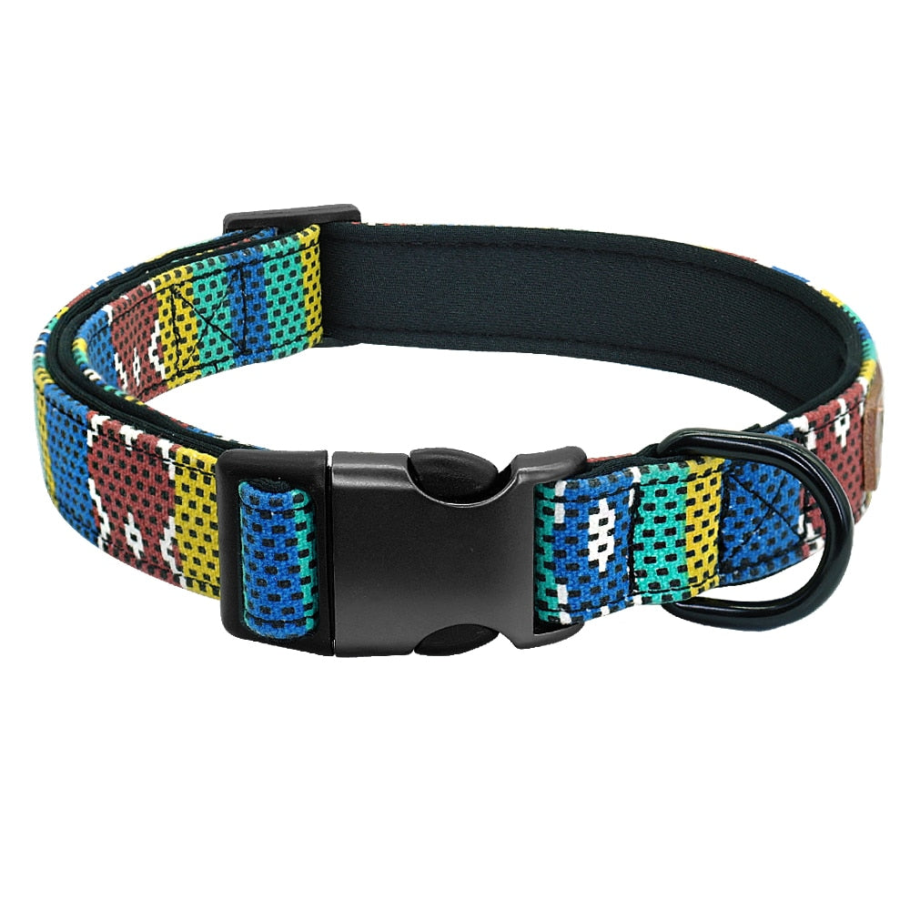 Patagonia Collar and Leash