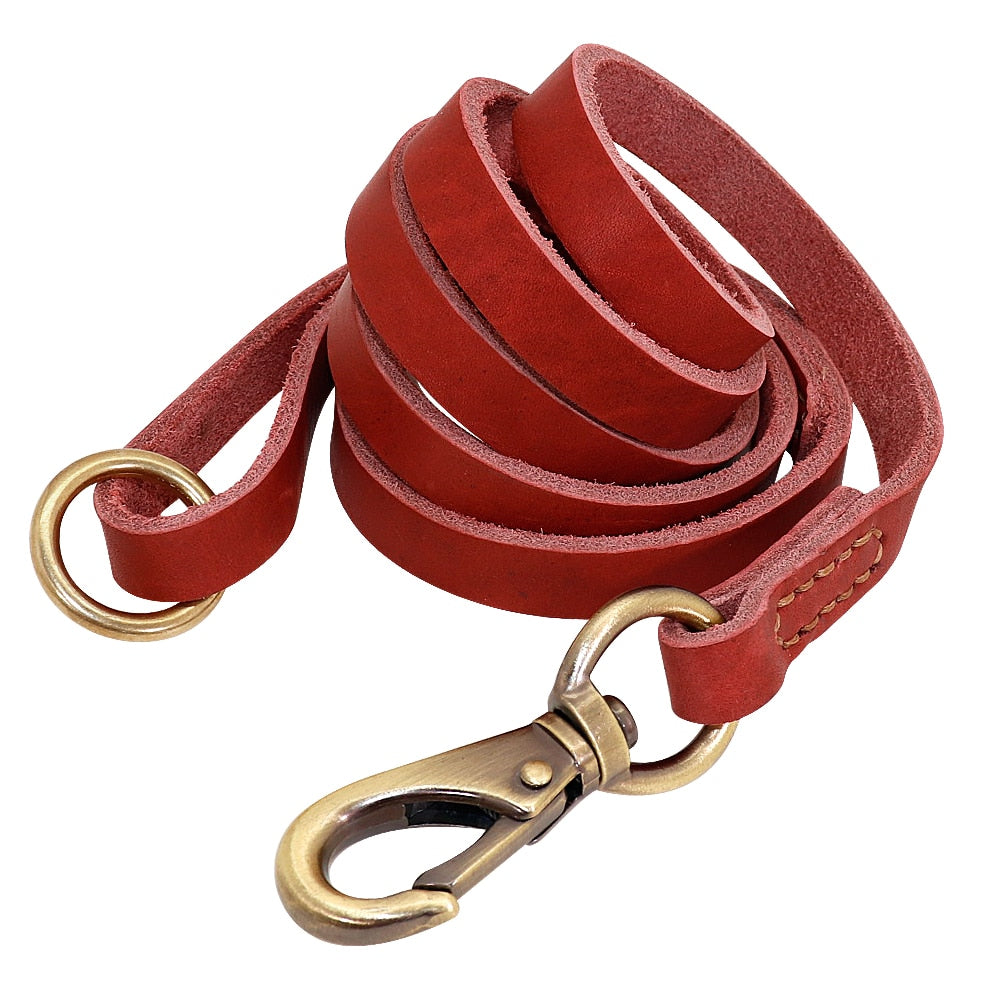 Terra Custom Leather Collar and Leash