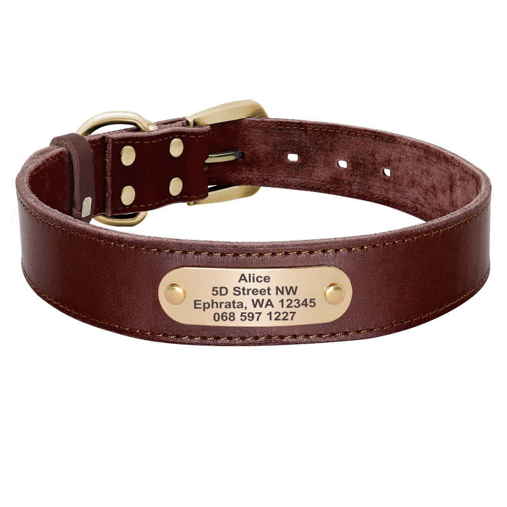 Terra Custom Leather Collar and Leash