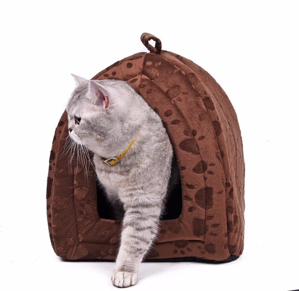 Cabana Bed