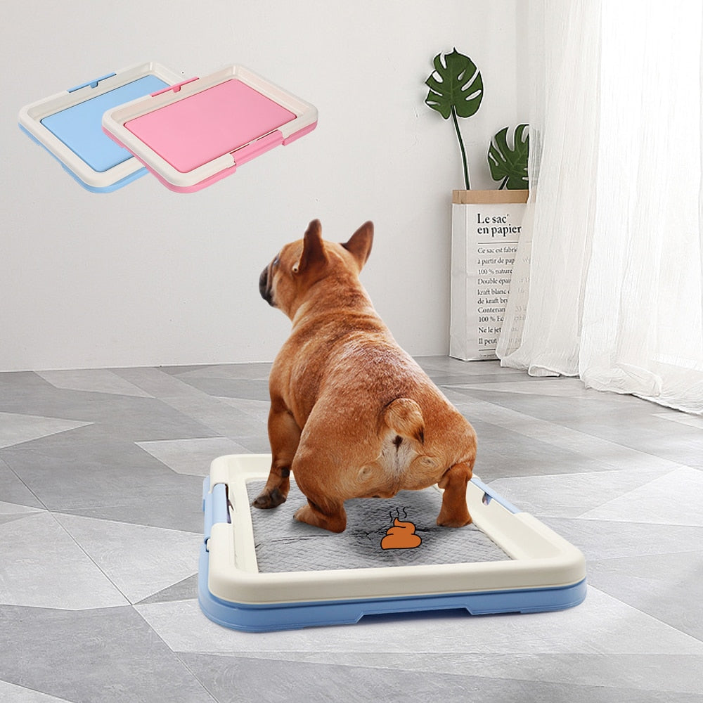 Caja Para Almohadillas de Orinar