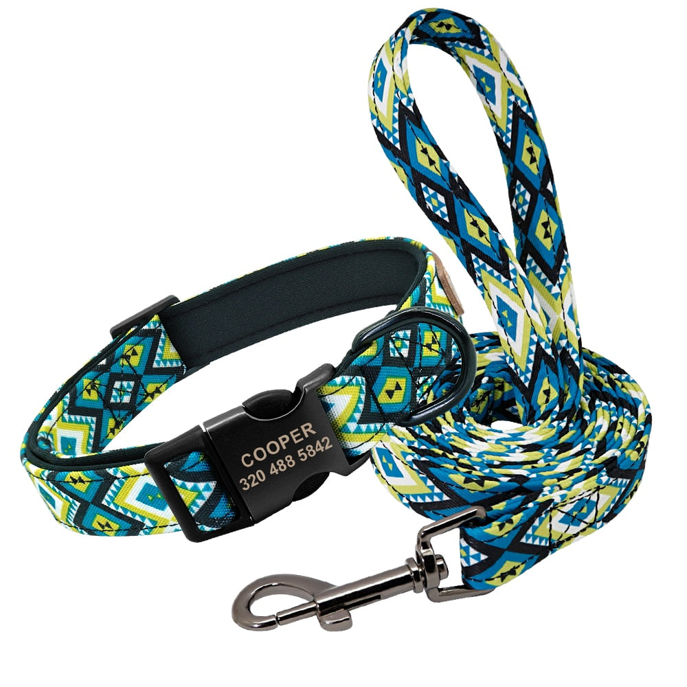 Patagonia Collar and Leash