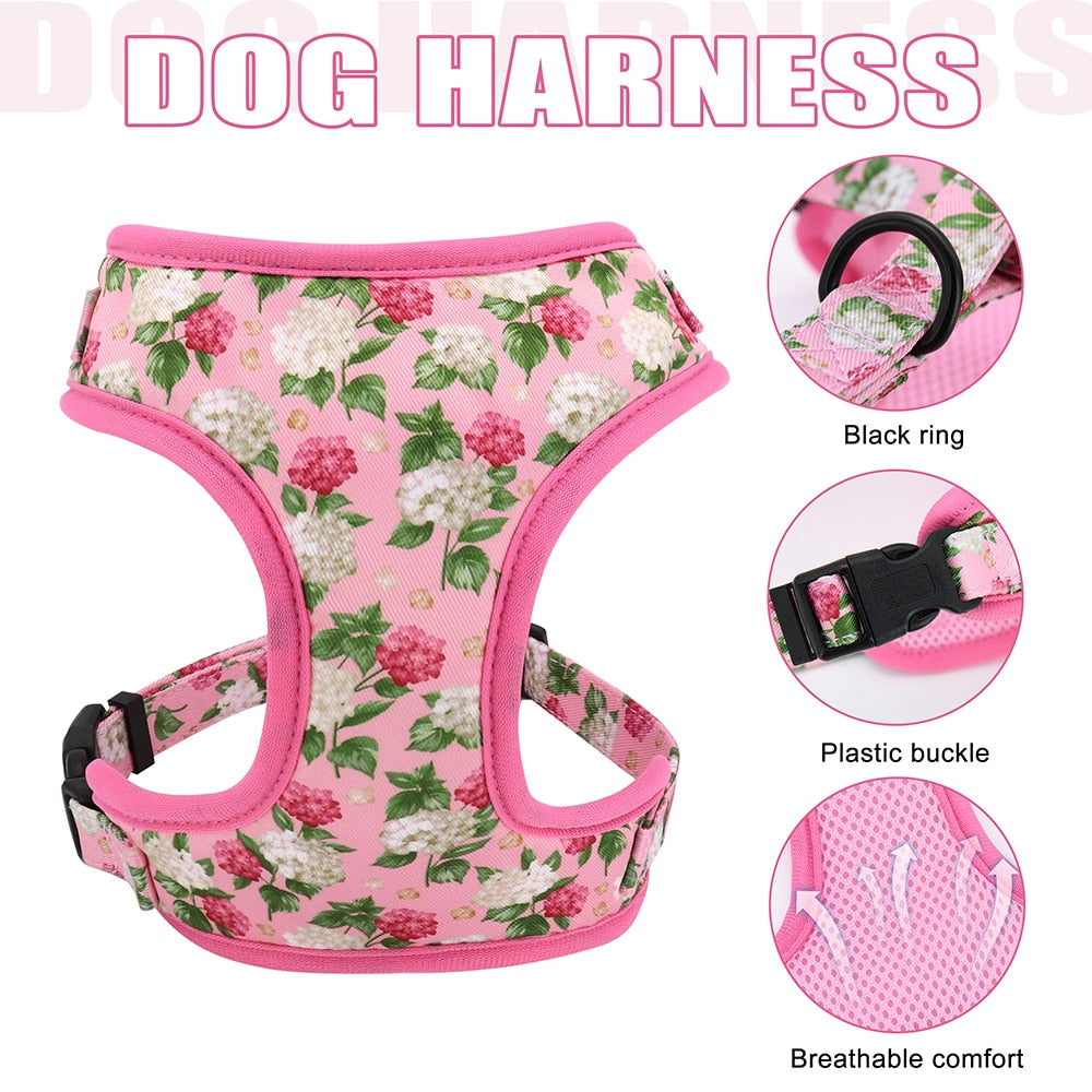 Floral Custom Collar, Harness and Leash Set