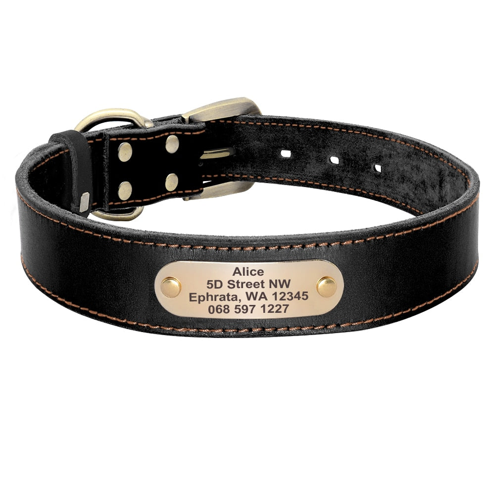 Terra Custom Leather Collar and Leash