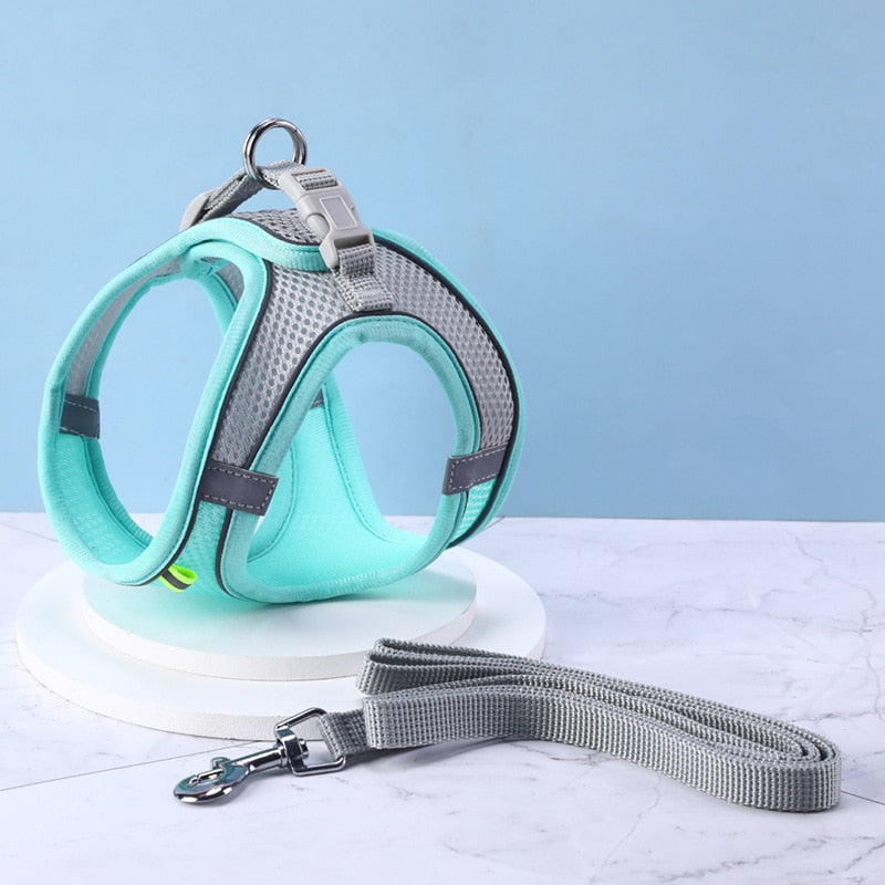 Pastel Harness & Leash