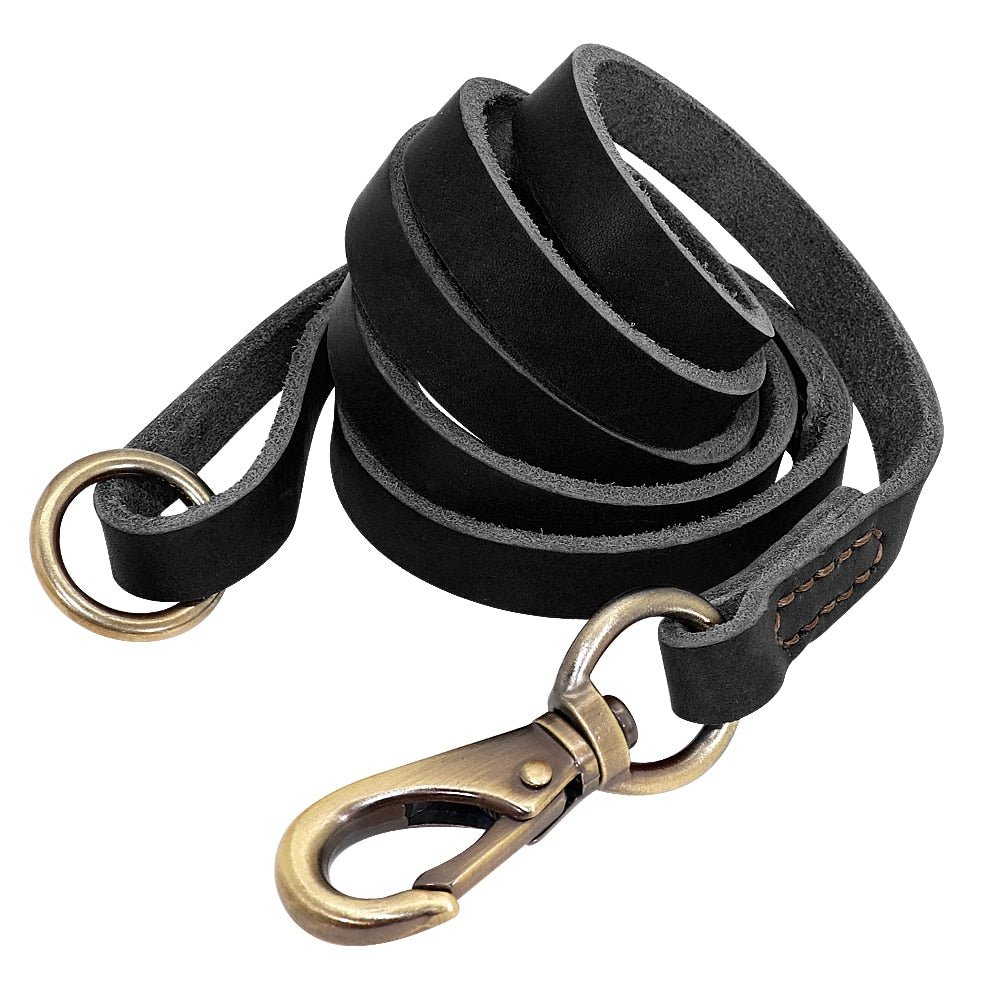 Terra Custom Leather Collar and Leash