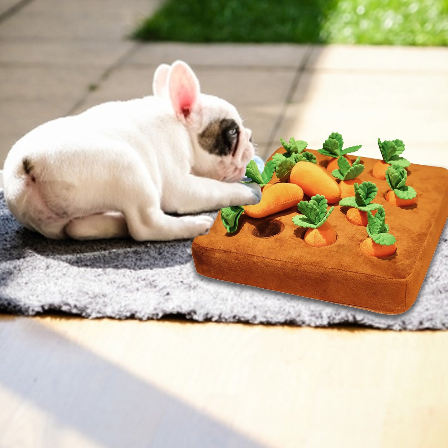 Sniff, Pull & Chew Dog Toy