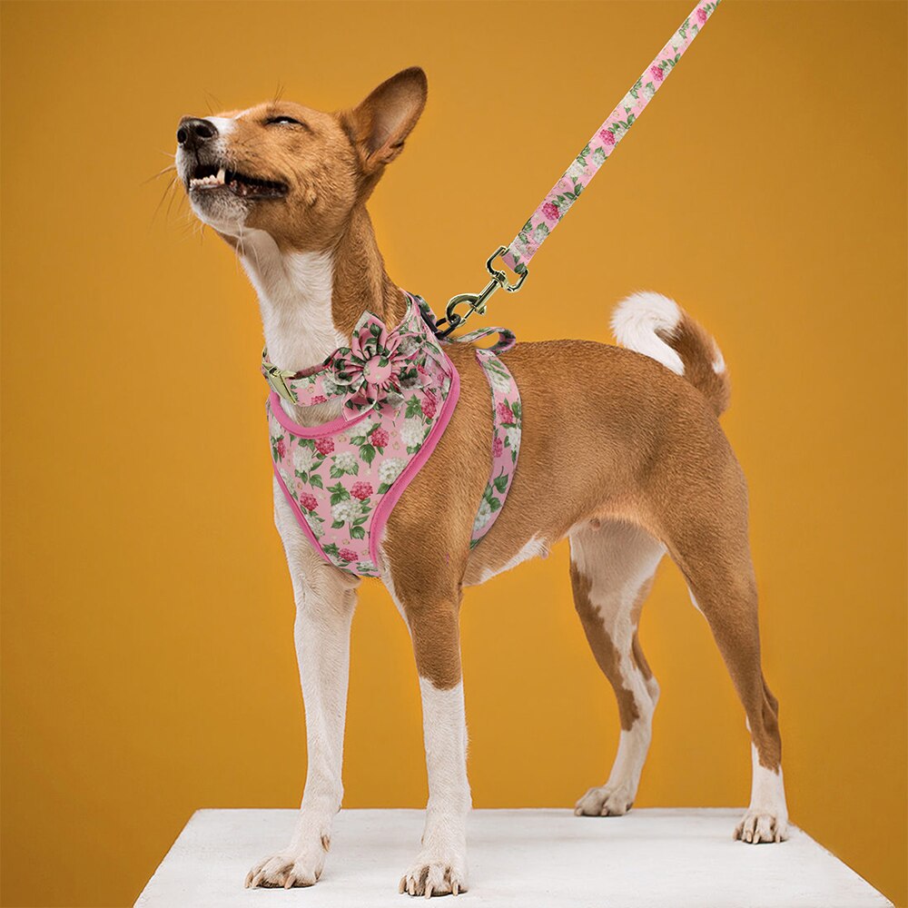 Floral Custom Collar, Harness, Leash and Waste Bag Set