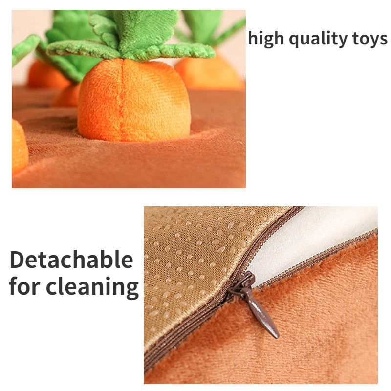 Sniff, Pull & Chew Dog Toy