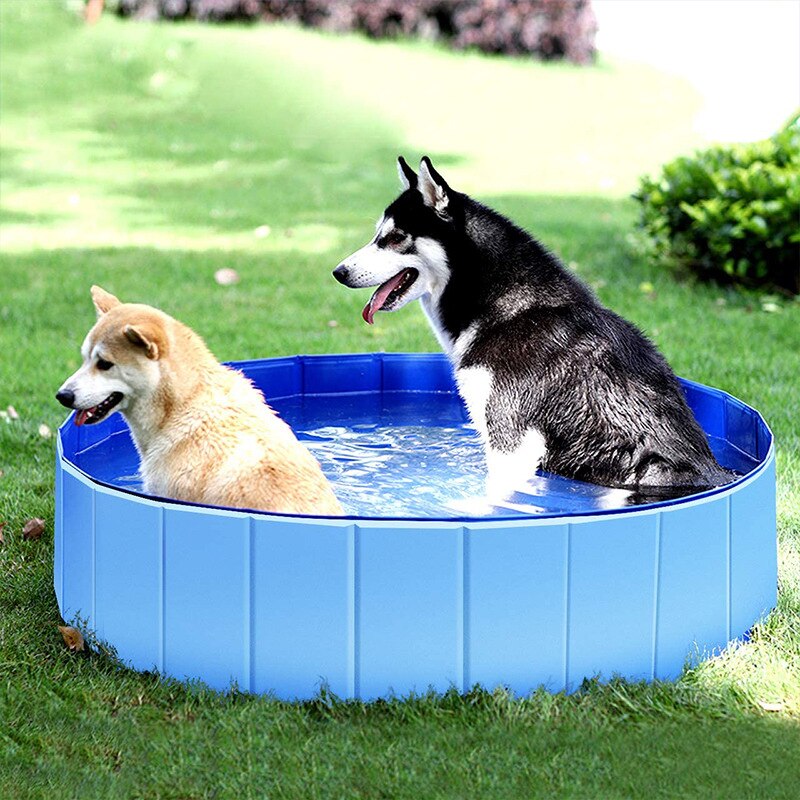 Splash Swimming Pool
