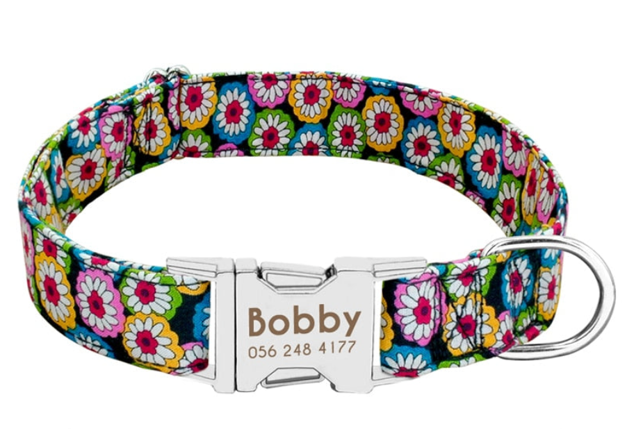 Collar Personalizador Colección Palette