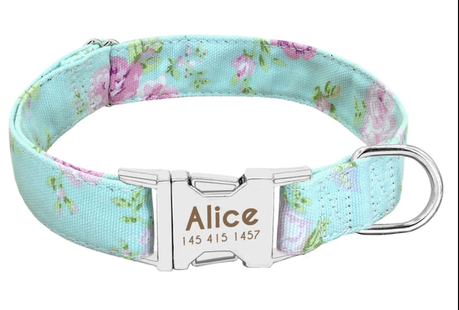 Collar Personalizador Colección Palette