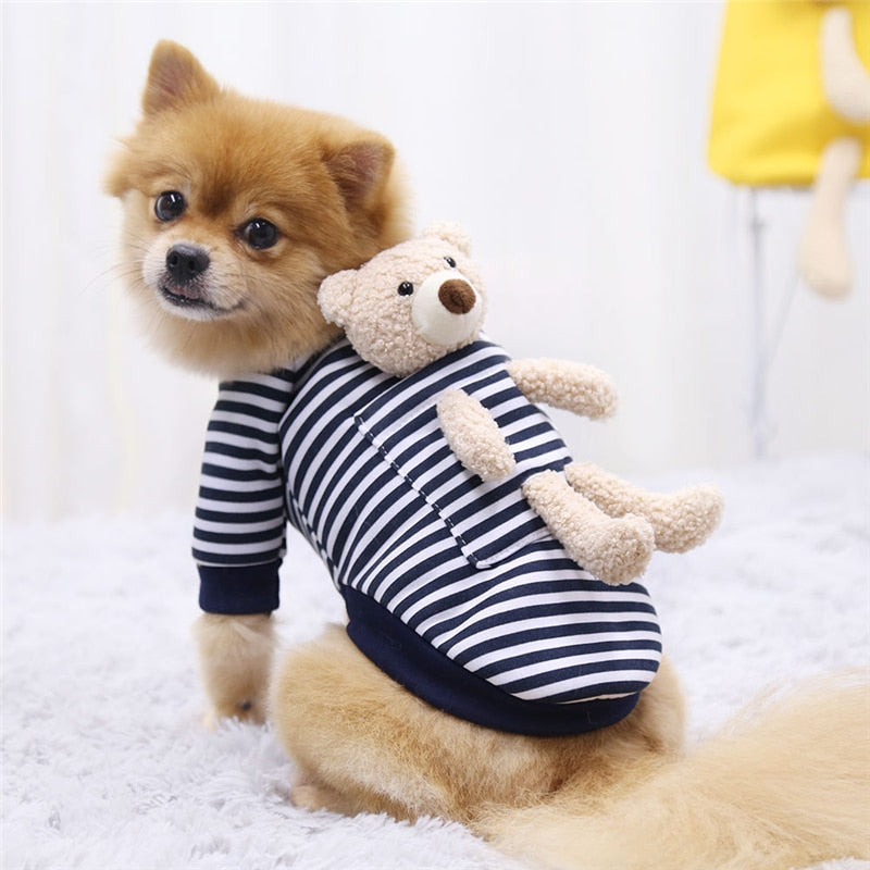 Teddy Bear Sweater