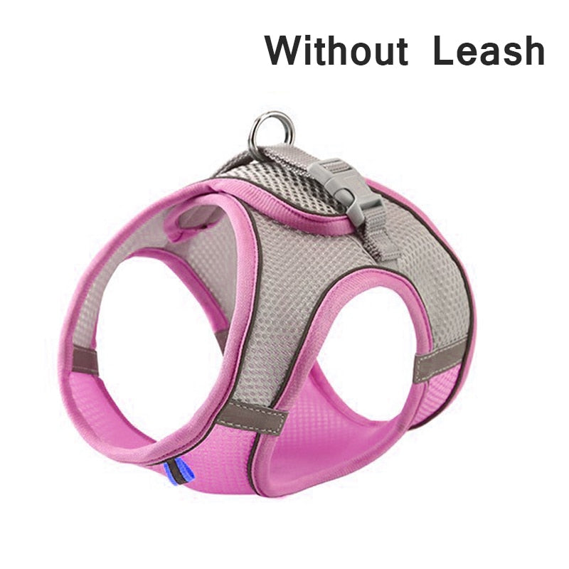 Pastel Harness & Leash