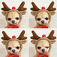 Adorbs Costume Hoodies