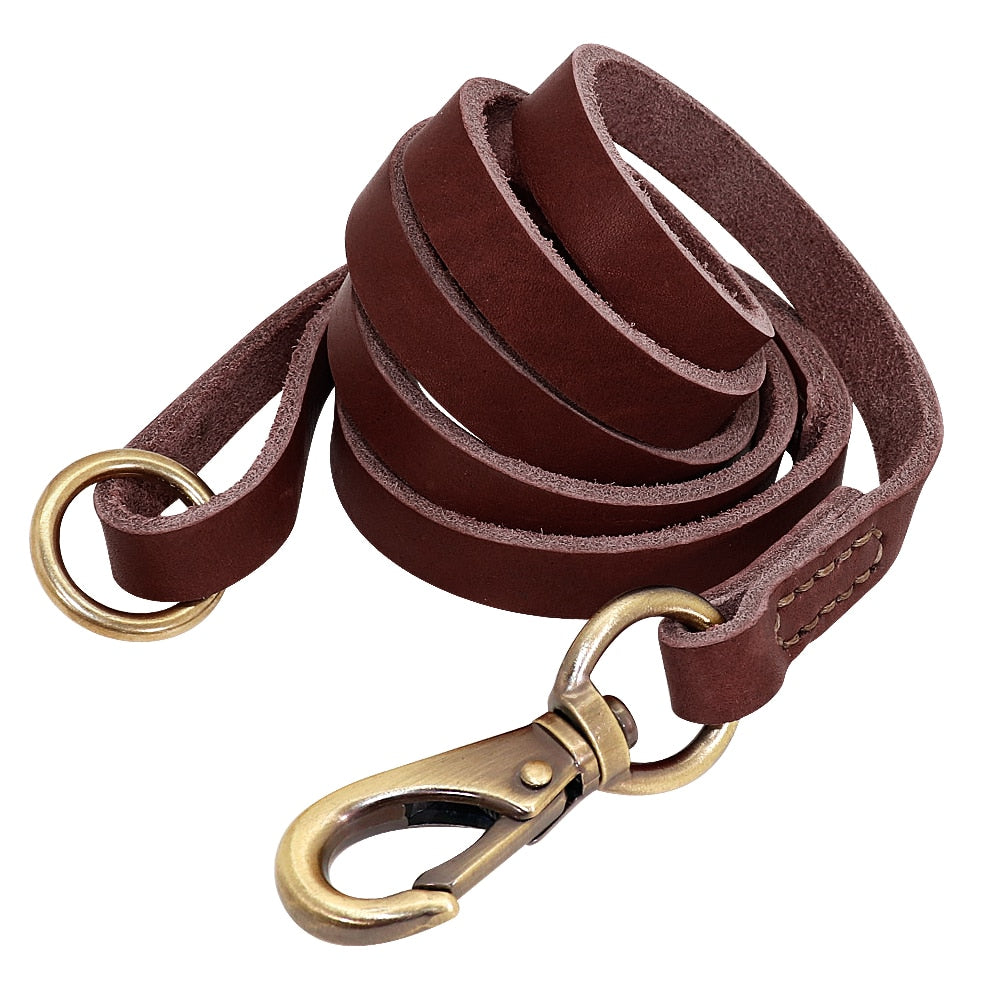 Terra Custom Leather Collar and Leash