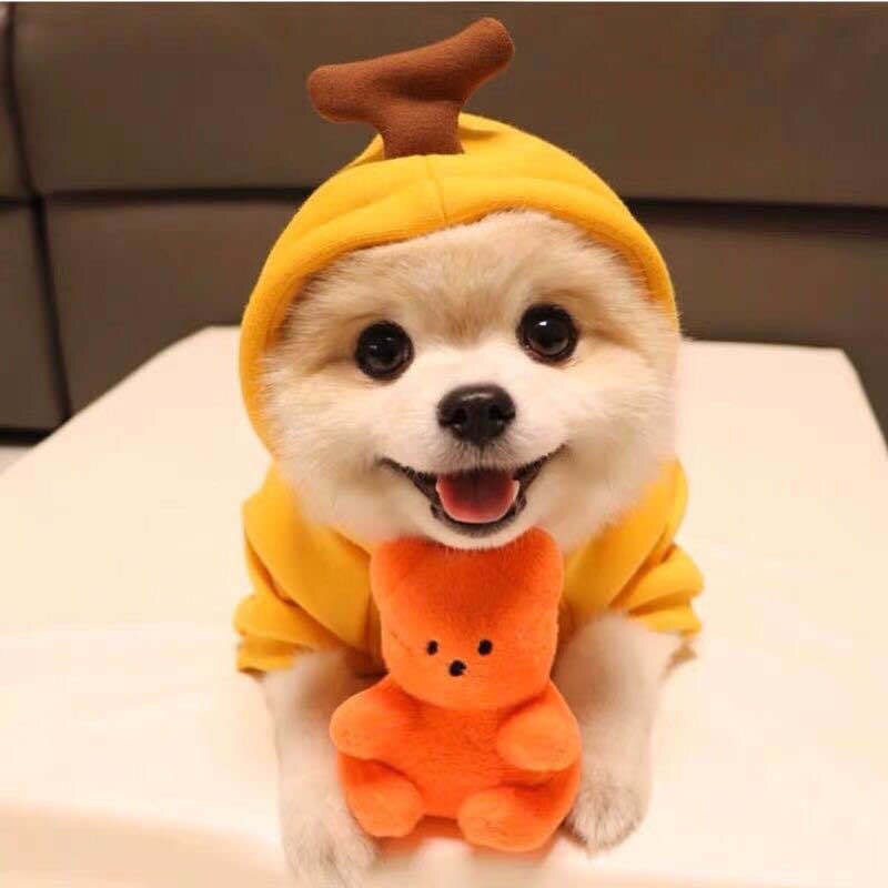 Adorbs Costume Hoodies