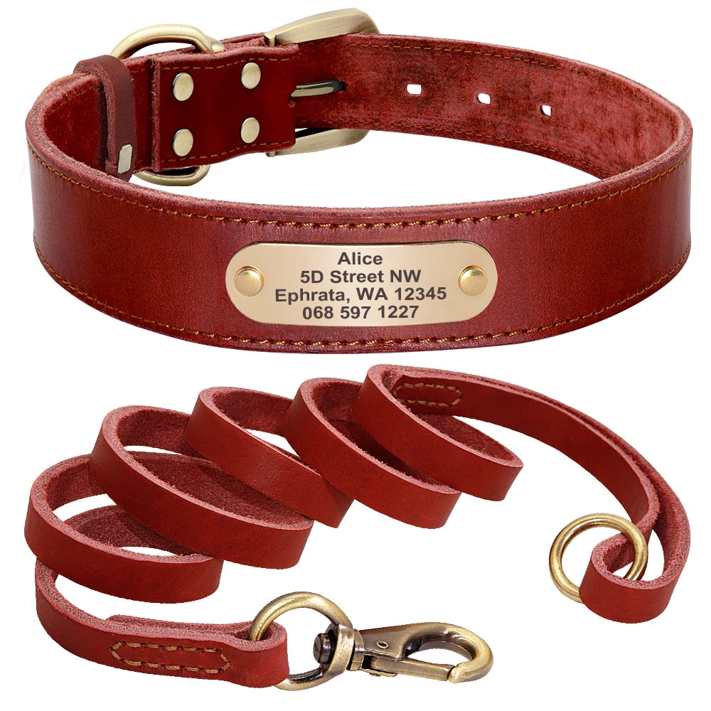 Terra Custom Leather Collar and Leash