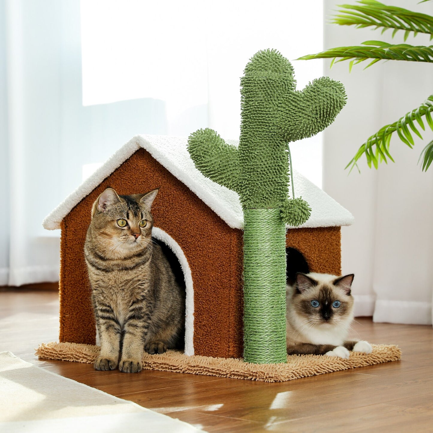 Cactus Cat Furniture Collection