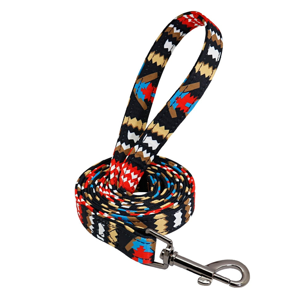 Patagonia Collar and Leash