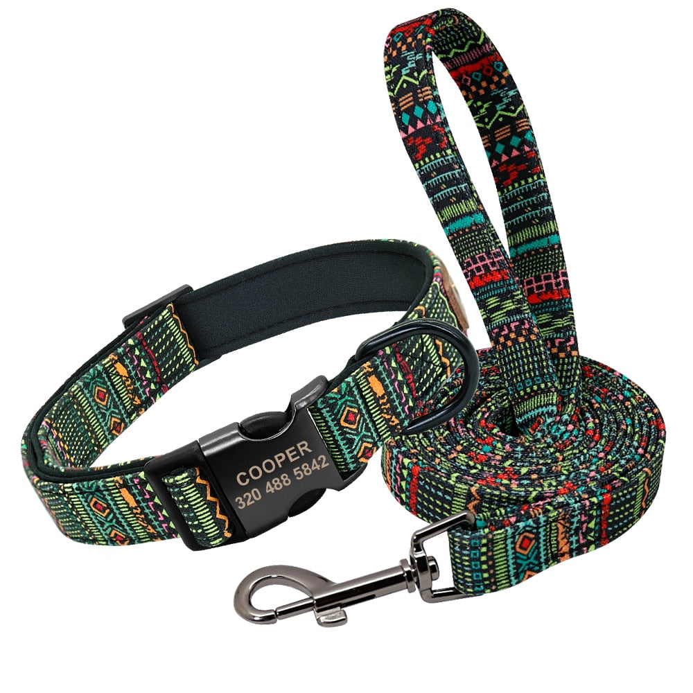 Patagonia Collar and Leash