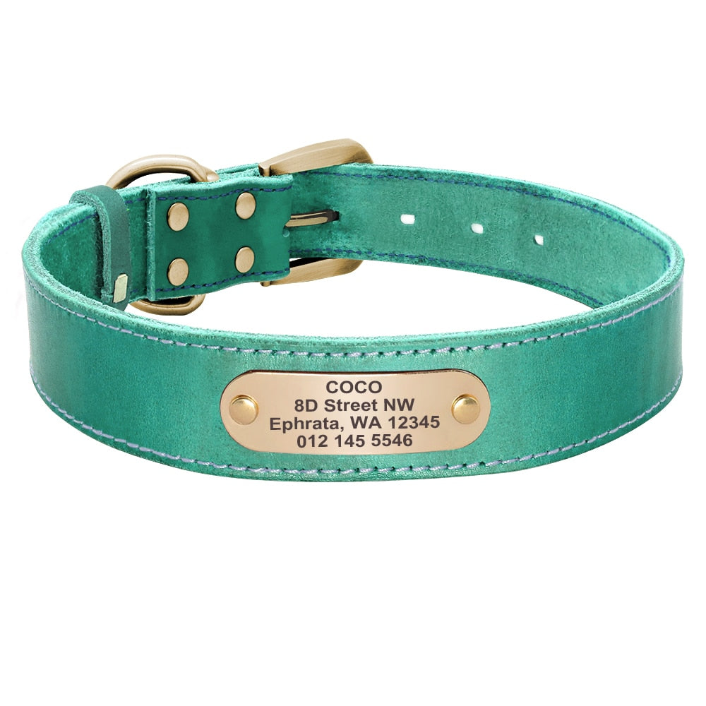 Terra Custom Leather Collar and Leash