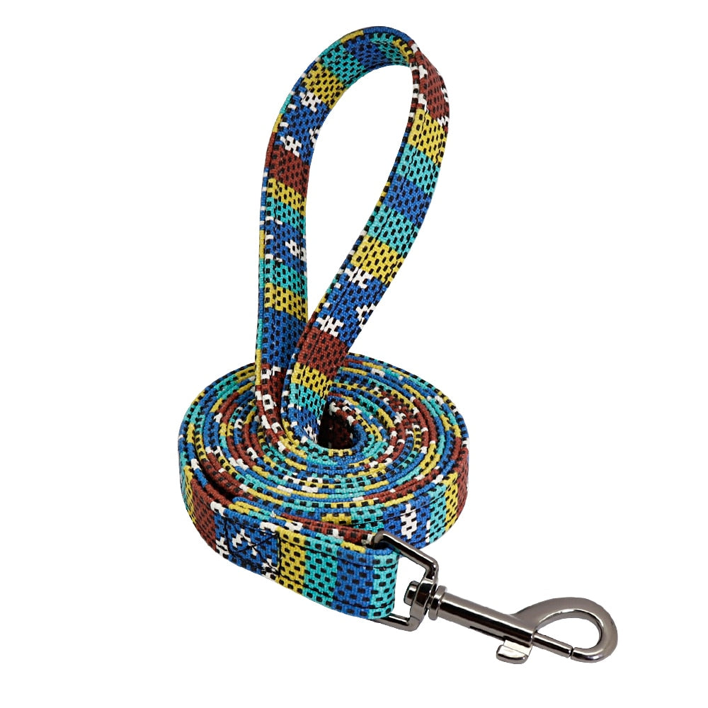 Patagonia Collar and Leash