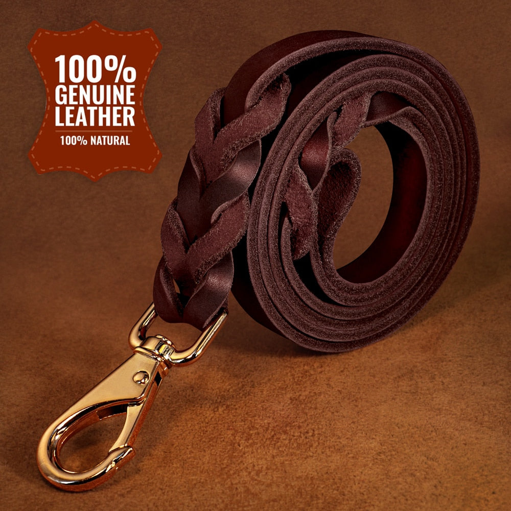 Braided Dog Leather Leash - 5'