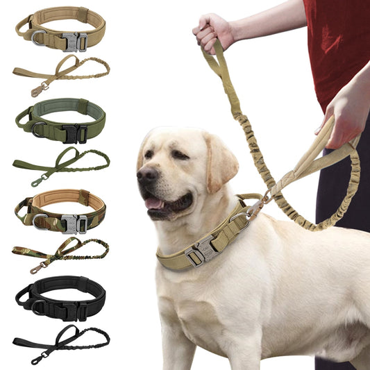 Military Hero Collar & Leash