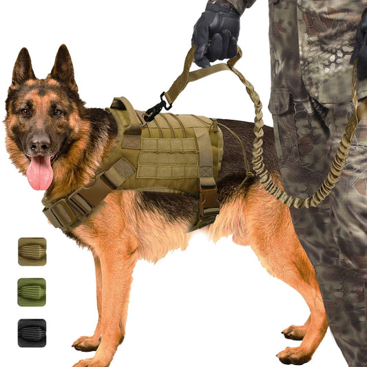 Military Hero Harness and Leash Set