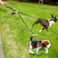 Leather No Tangle Double Dog Leash Coupler & Lead