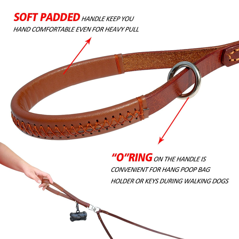 Leather No Tangle Double Dog Leash Coupler & Lead