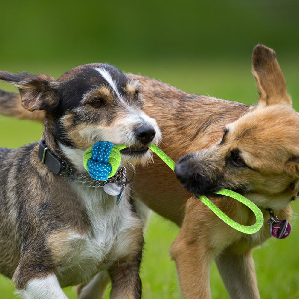 Puppy Rope Knot Toys