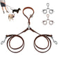 Leather No Tangle Double Dog Leash Coupler & Lead