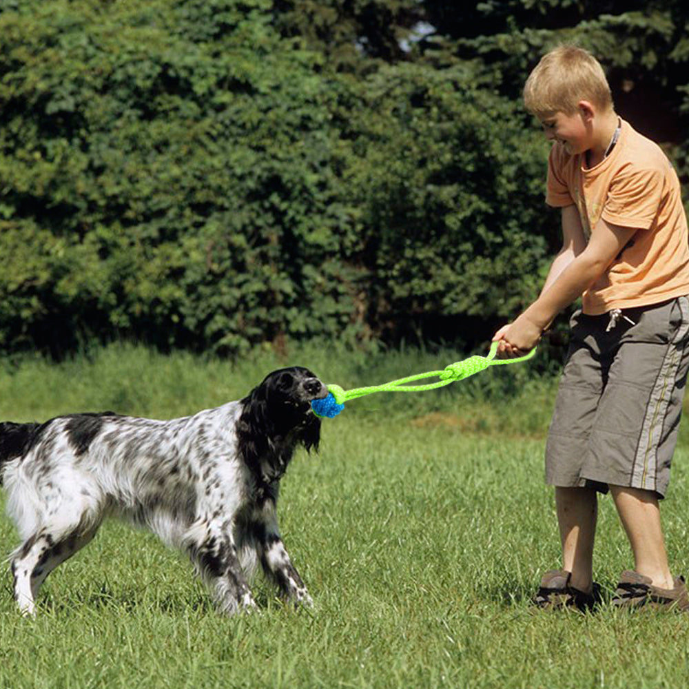 Puppy Rope Knot Toys