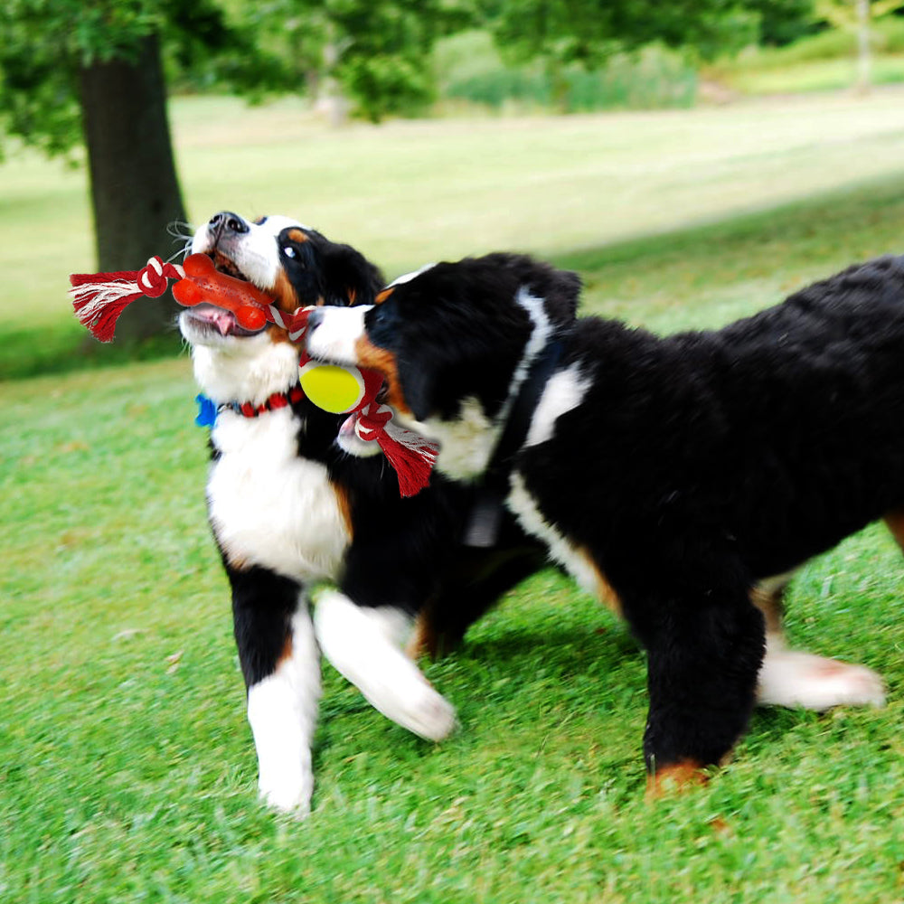 Puppy Rope Knot Toys