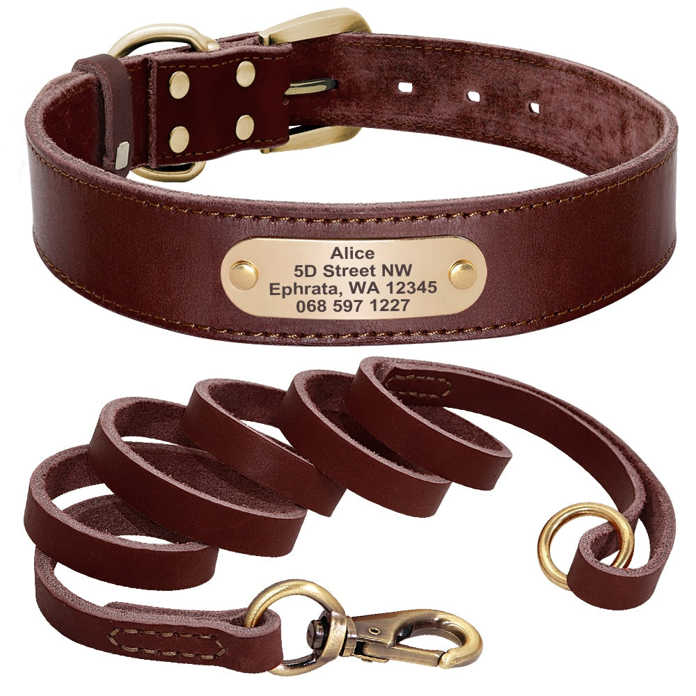 Terra Custom Leather Collar and Leash