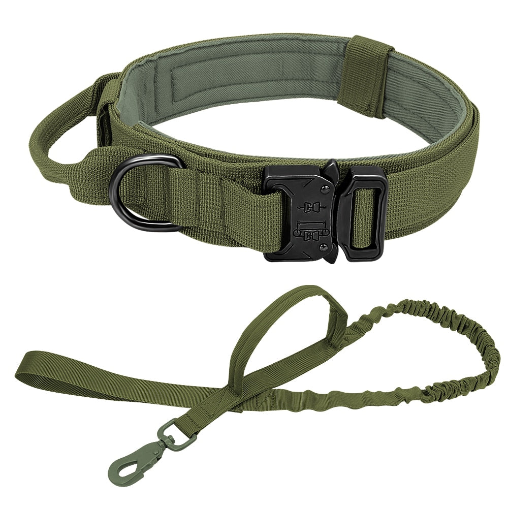 Military Hero Collar & Leash