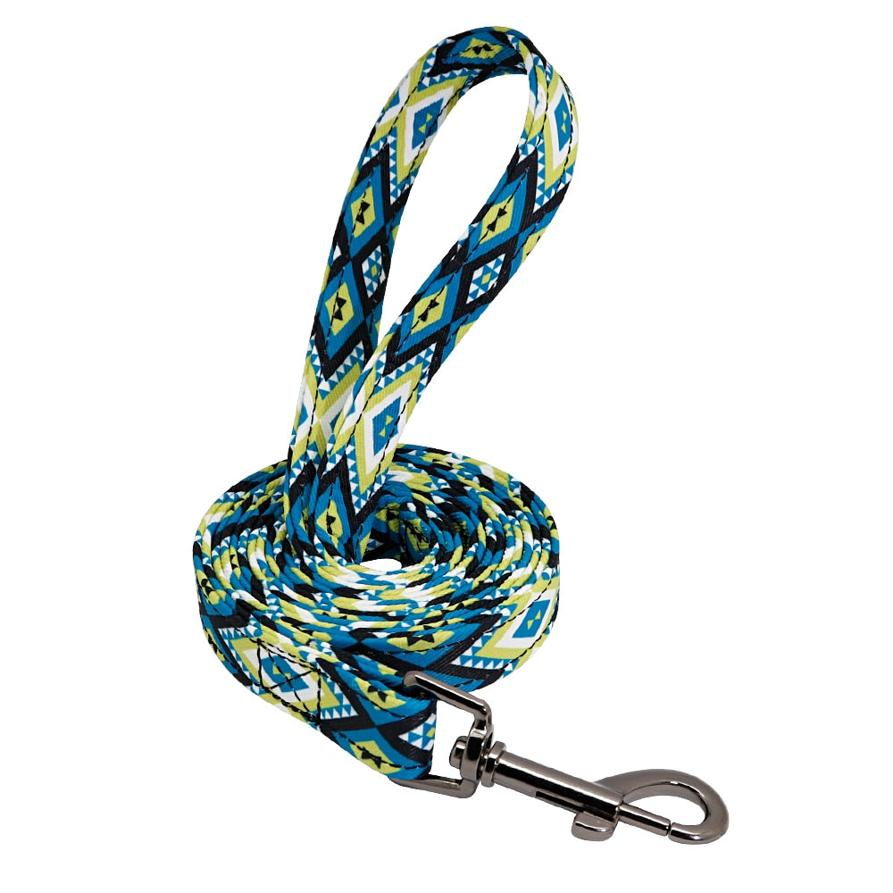 Patagonia Collar and Leash