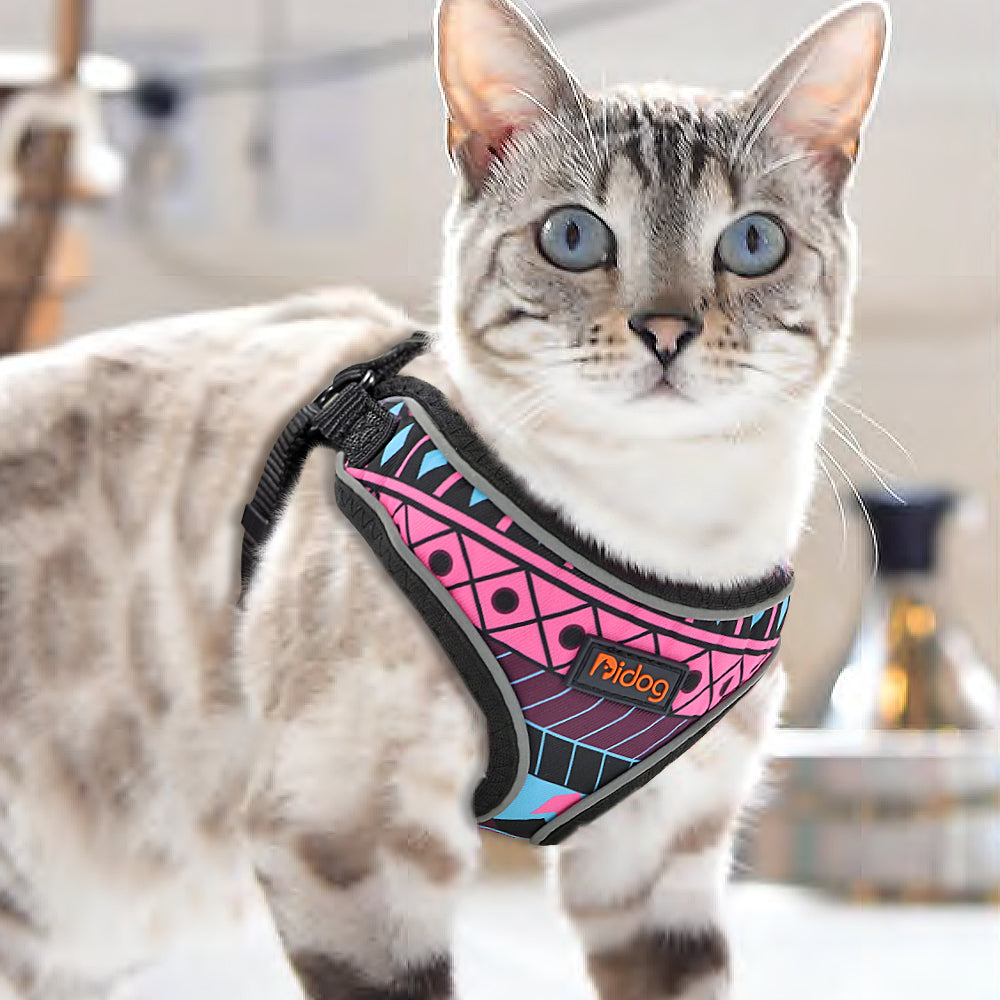 Jazzy Cat & Dog Harness
