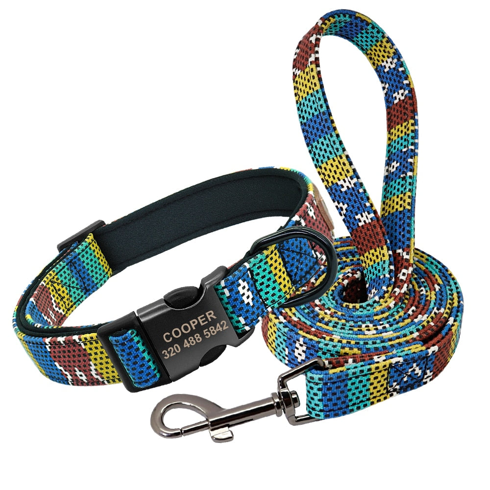 Patagonia Collar and Leash