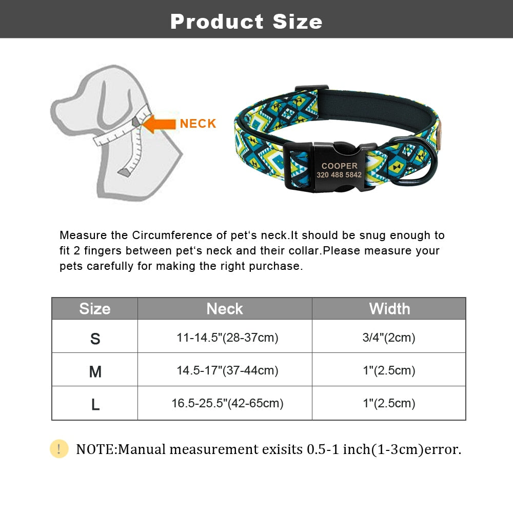 Patagonia Collar and Leash