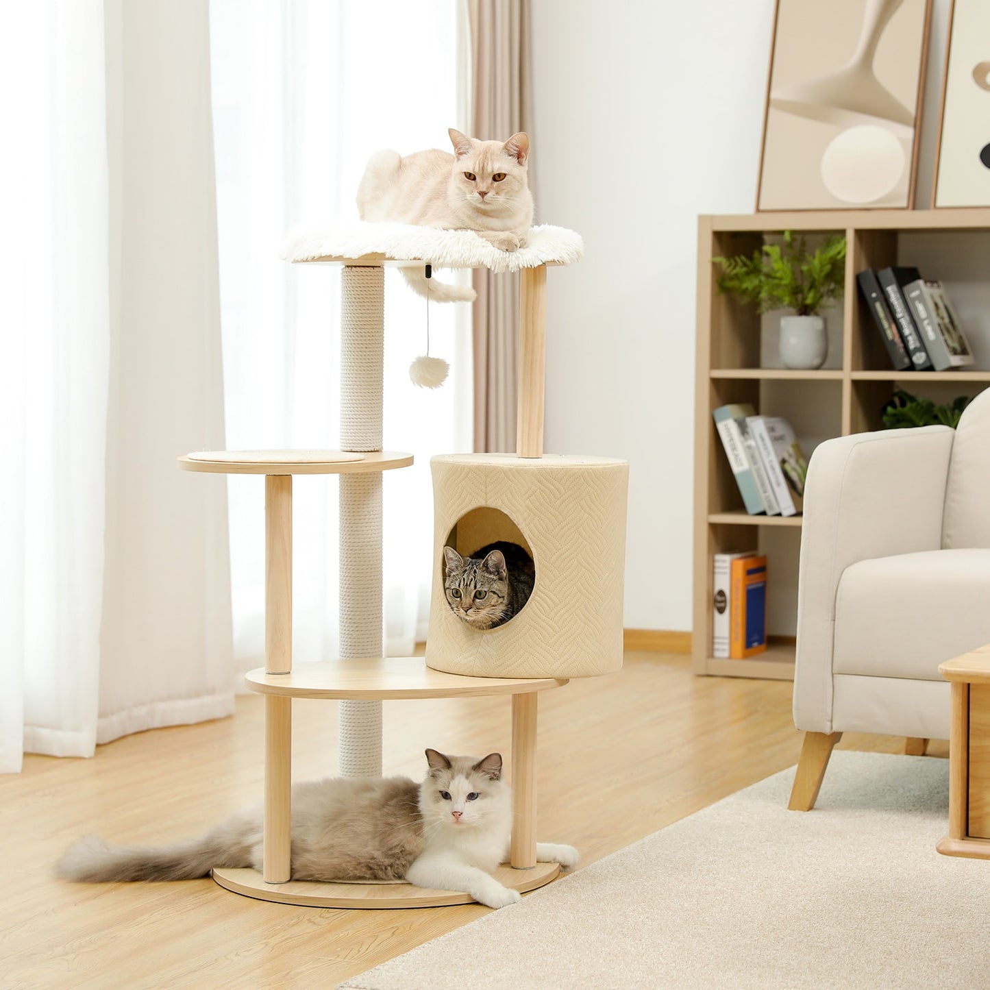 Arbol De Gato Villa