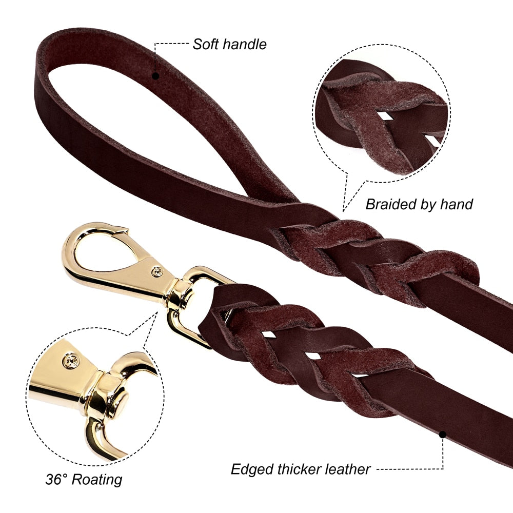 Braided Dog Leather Leash - 5'